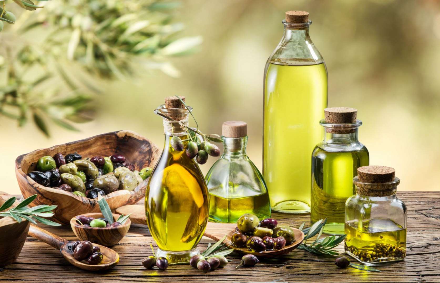 Will Olive Oil Help Hair Grow Back