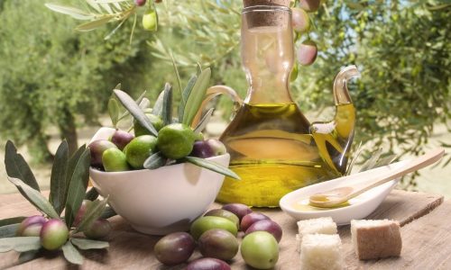 Ελιά και λάδι Gaia Olives